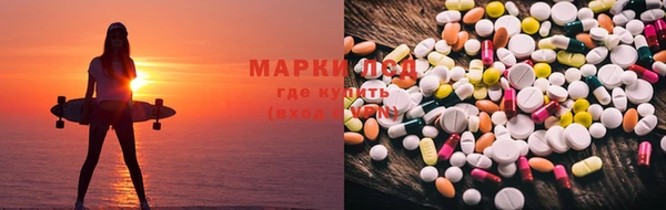 бошки Алзамай
