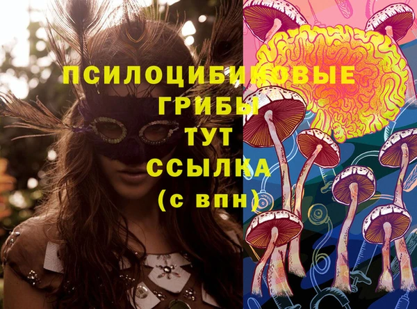винт Алексеевка