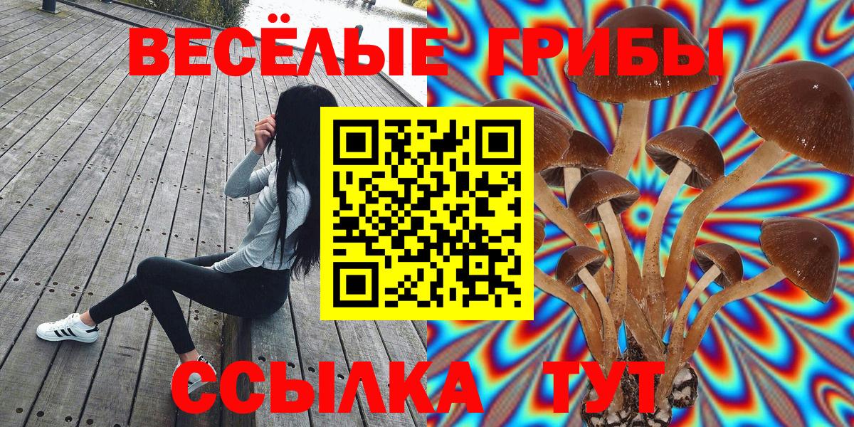Псилоцибиновые грибы мухоморы  Вход с VPN  Галлюциногенные грибы Psilocybe  Ленинск-Кузнецкий 