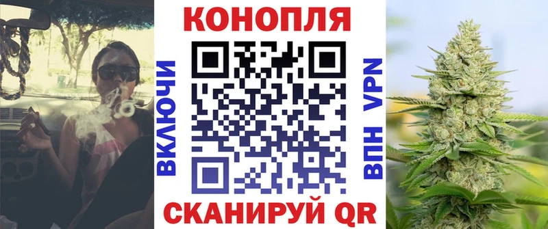 Бошки марихуана семена  Ленинск-Кузнецкий 